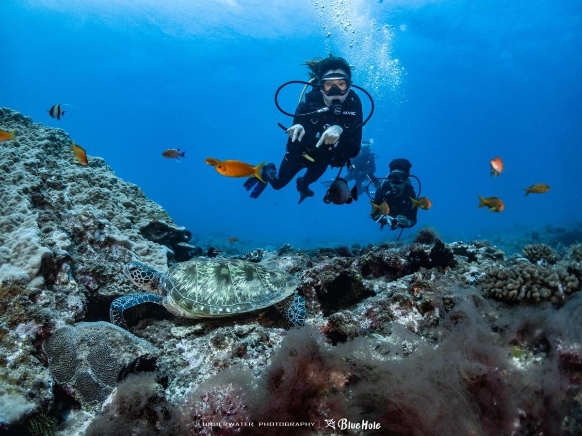 Heng-ch'un藍洞潛水Blue Hole Dive Center住宿加早餐旅馆 外观 照片