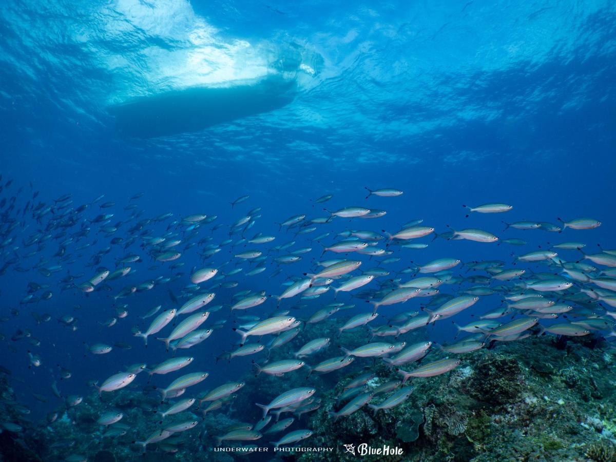 Heng-ch'un藍洞潛水Blue Hole Dive Center住宿加早餐旅馆 外观 照片